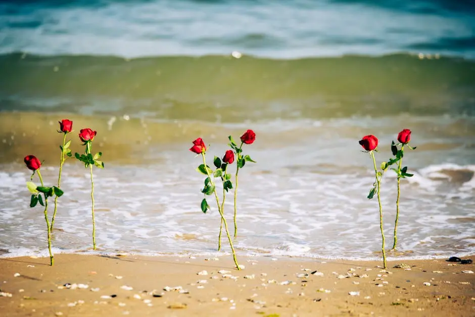 Vibrant red roses planted on a sandy beach with ocean waves in the background, symbolizing romance.