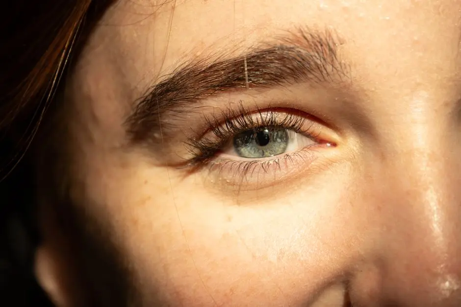 Detailed close-up of a human eye with natural lighting highlighting the iris and eyelashes.