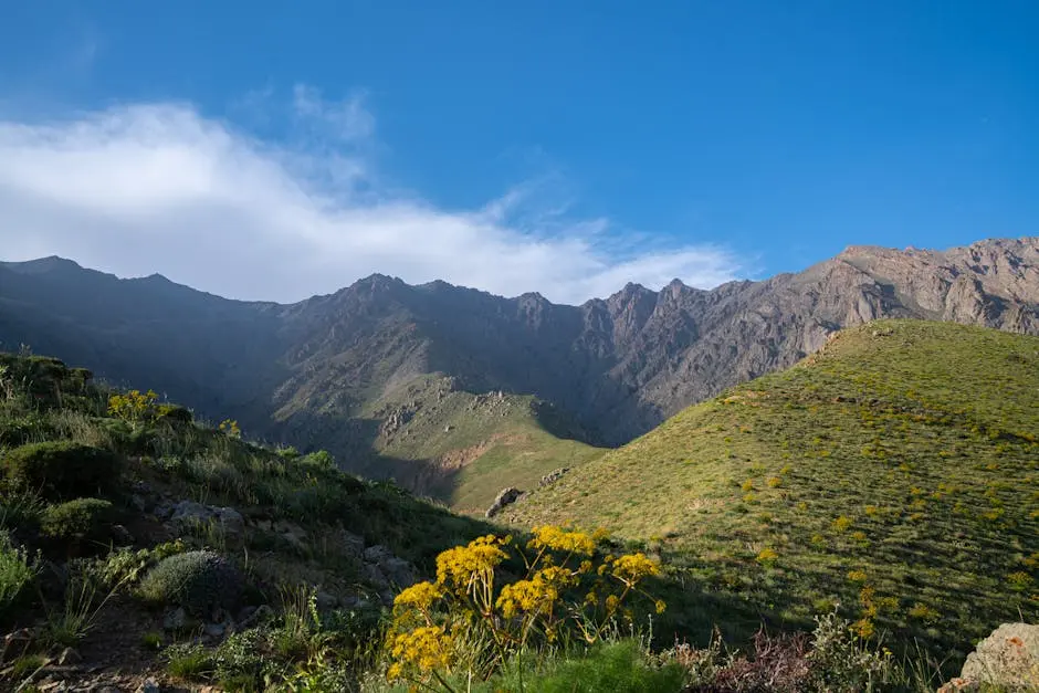 Scenic view of lush green hills and rugged mountains under a clear blue sky.