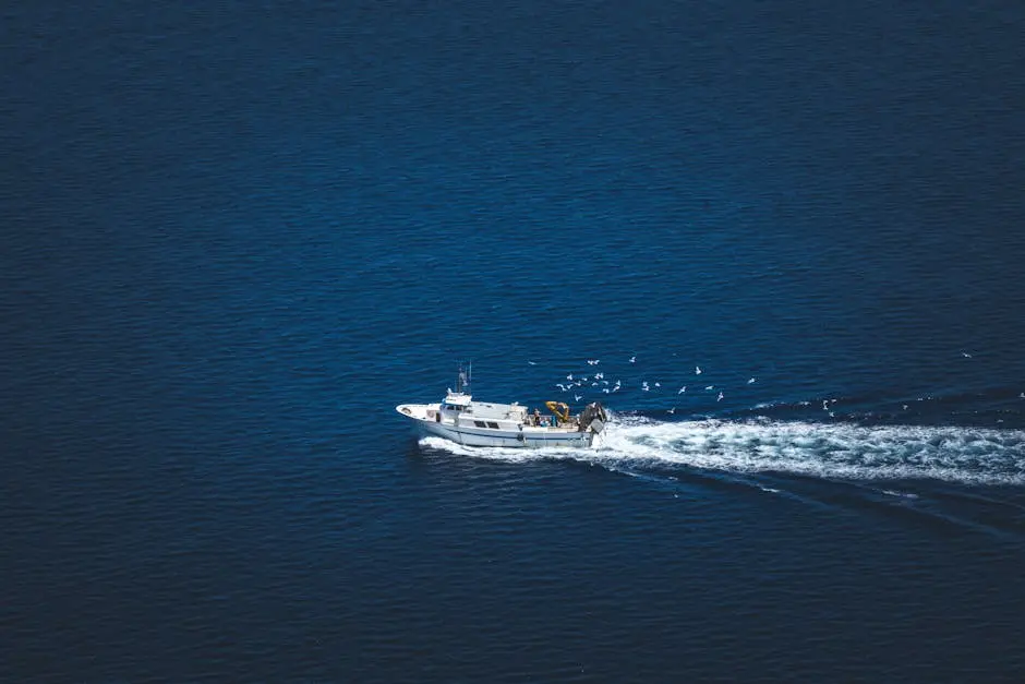 Aerial view of a fishing boat in the open sea surrounded by seagulls during the day.