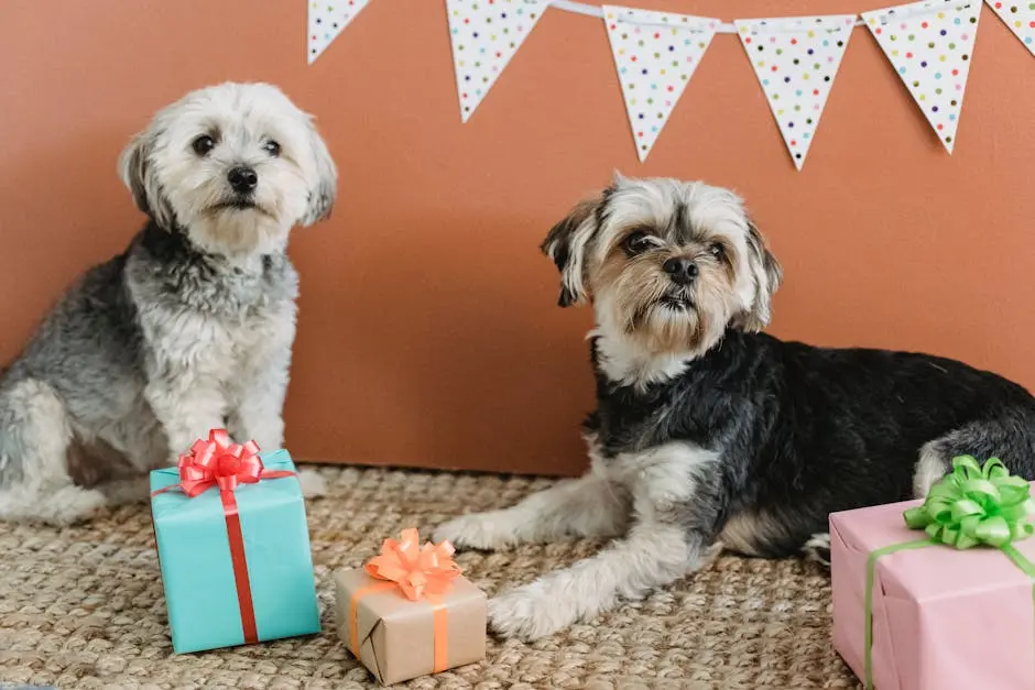 Two cute dogs with gifts and decorations celebrate indoors, perfect for festive pet photography.