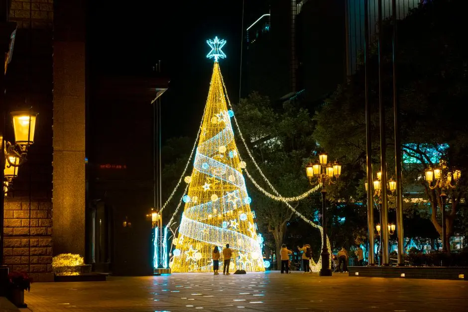 Stunning large Christmas tree illuminated with lights in an urban park at night, enchanting festive atmosphere.
