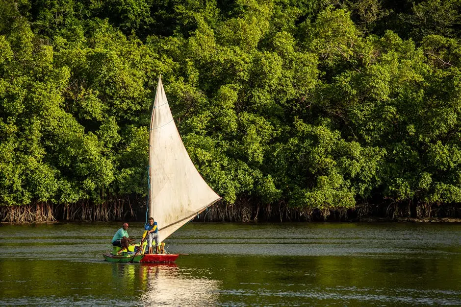 A serene scene of two people sailing a small boat by lush mangroves in Barra de Camaratuba, Brazil.